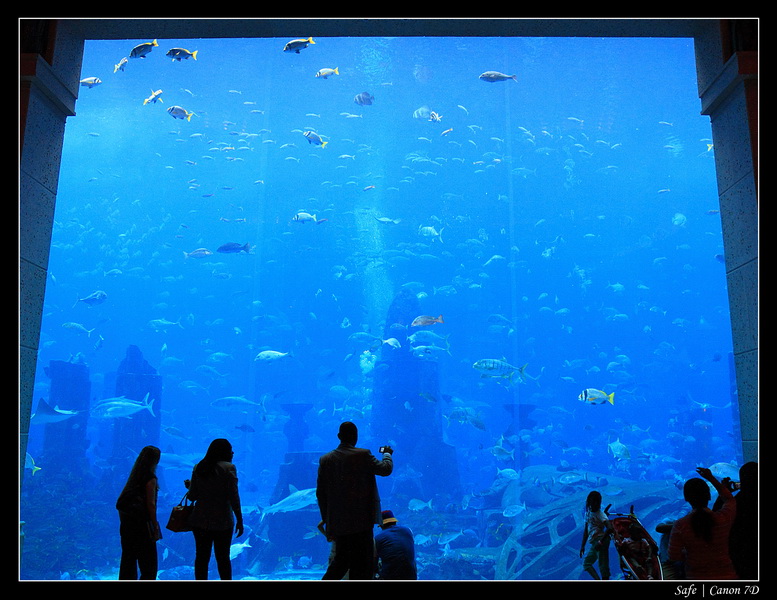 2012 - 06 - Dubai - 063